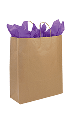 Plain Kraft Paper Bags | Store Supply Warehouse