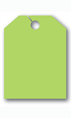 Mirror Hang Tags - Fluorescent Green - Blank without Border