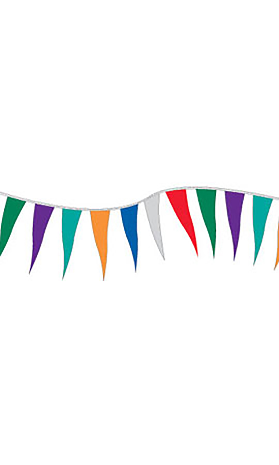 Multi-Colored Triangle Pennant | Store Supply Warehouse