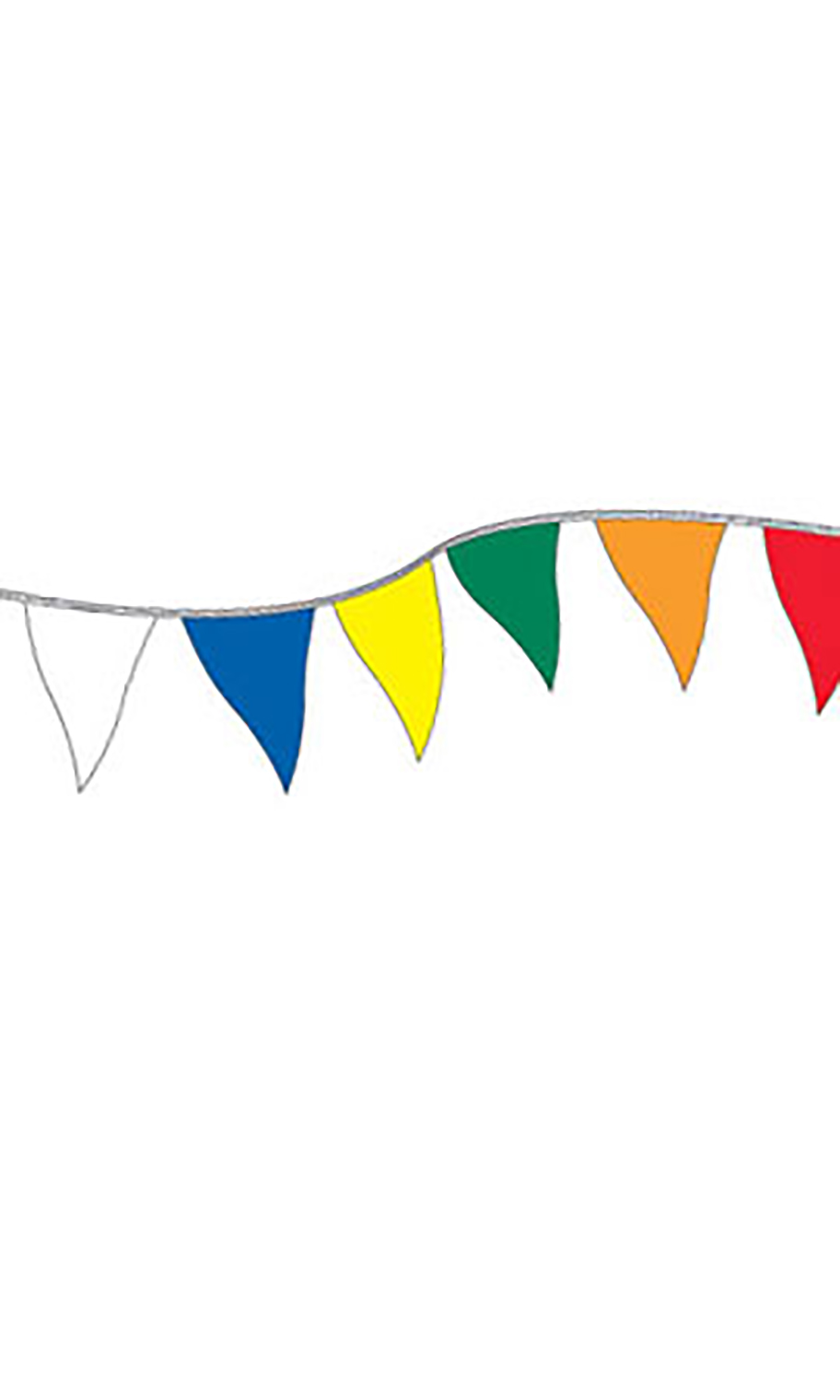 Economy 60' Multi-colored Pennant 