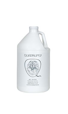 Rapid Remover 1 Gallon