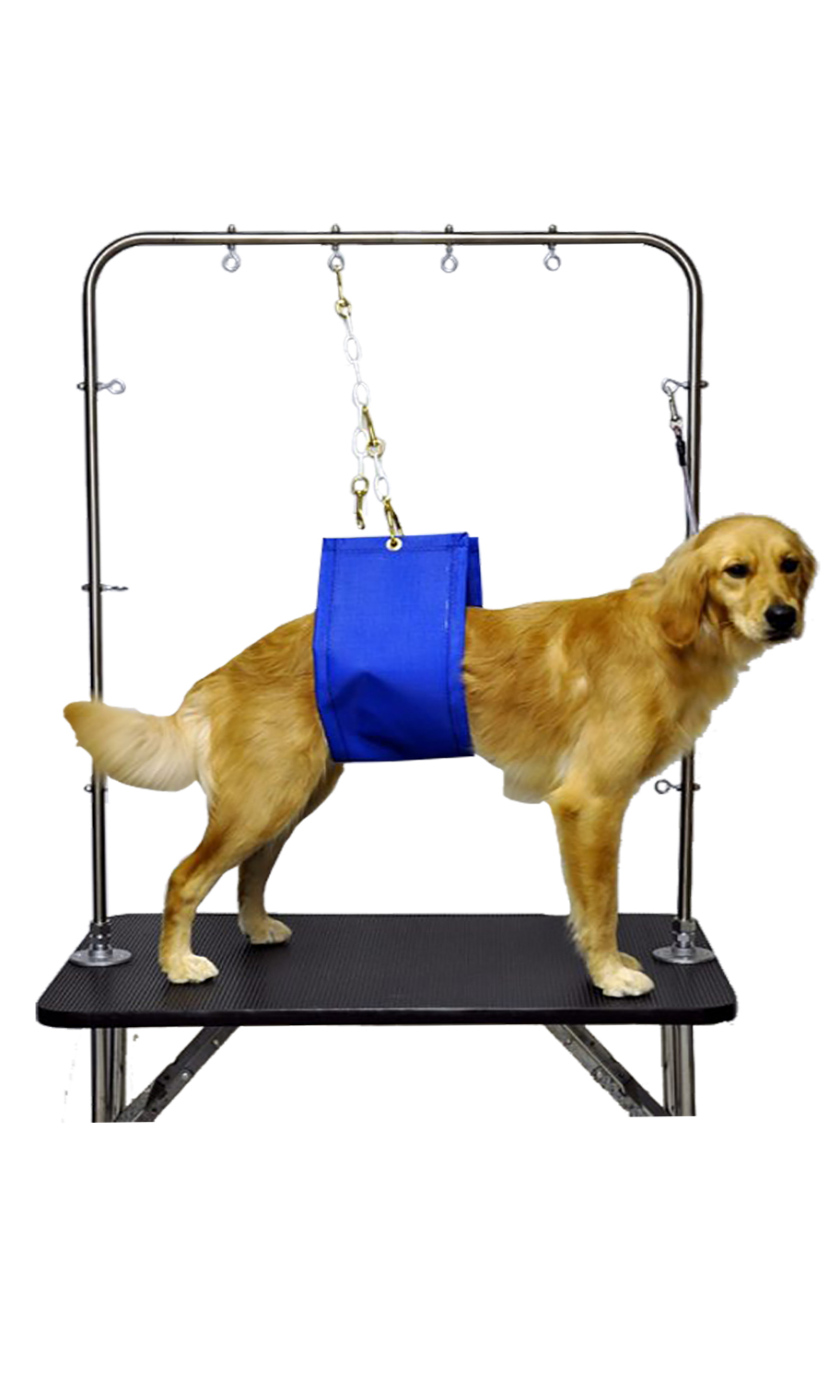 Romani Large Grooming Belly Band Links Sold Separately Love Groomers