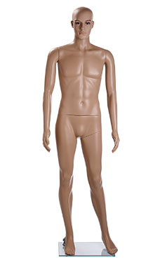 Male Caucasian Complexion Plastic Mannequin