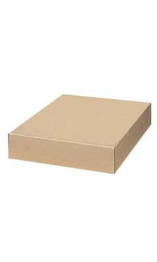 17 x 11 x 2 ½  inch Kraft Apparel Boxes