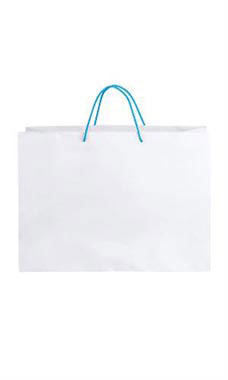Large White Premium Folded Top Paper Bags Light Blue Rope Handles