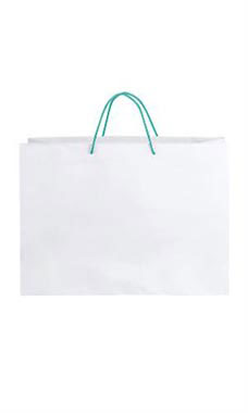 Large White Premium Folded Top Paper Bags Turquoise Rope Handles