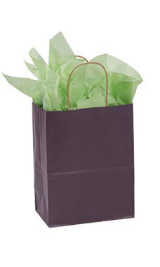 Medium Plum Paper Shopping Bags - Case of 100