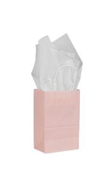Small Pink Paper Shopping Bags - Case of 25