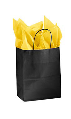 Download Medium Glossy Black Paper Shopping Bags Case Of 100 Ssw