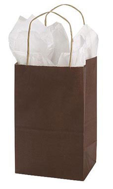 Colored Shopping Paper Bag, 5 1/4 X 3 1/2 X 8 1/4, Small Retail Bags