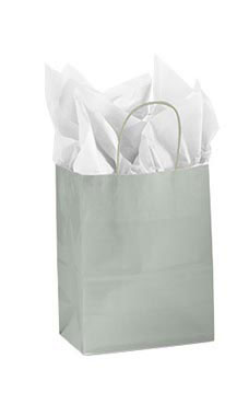 Download Medium Glossy Silver Paper Shopping Bags Case Of 100 Ssw