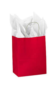 Medium Glossy Red Paper Shopping Bags - Case of 25