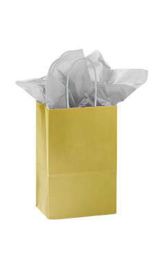 Download Small Glossy Gold Paper Shopping Bags Case Of 100 Ssw