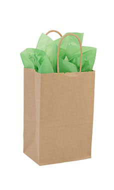 Small Recycled Natural Kraft Paper Shopping Bags - Case of 250