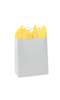 Medium White Kraft Paper Shopping Bags - Case of 250