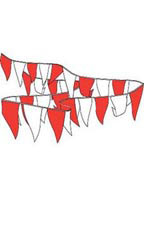 105' Red and White Pennant String