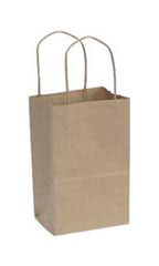 Small Natural Kraft Paper Shopping Bags - Case of 250