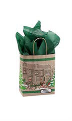 Medium Street Scene Paper Shopping Bags - Case of 25