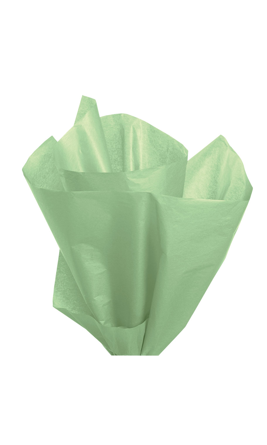 Tissue Paper Light Green Store Supply Warehouse
