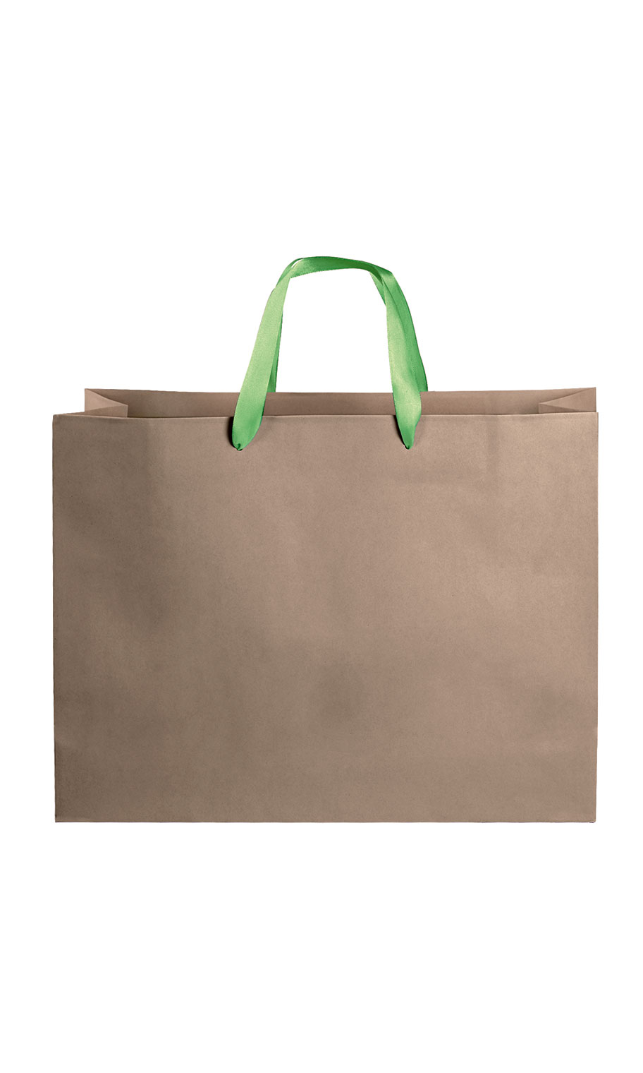 Large Kraft Paper Bags with Light Green Ribbon Handles SSW