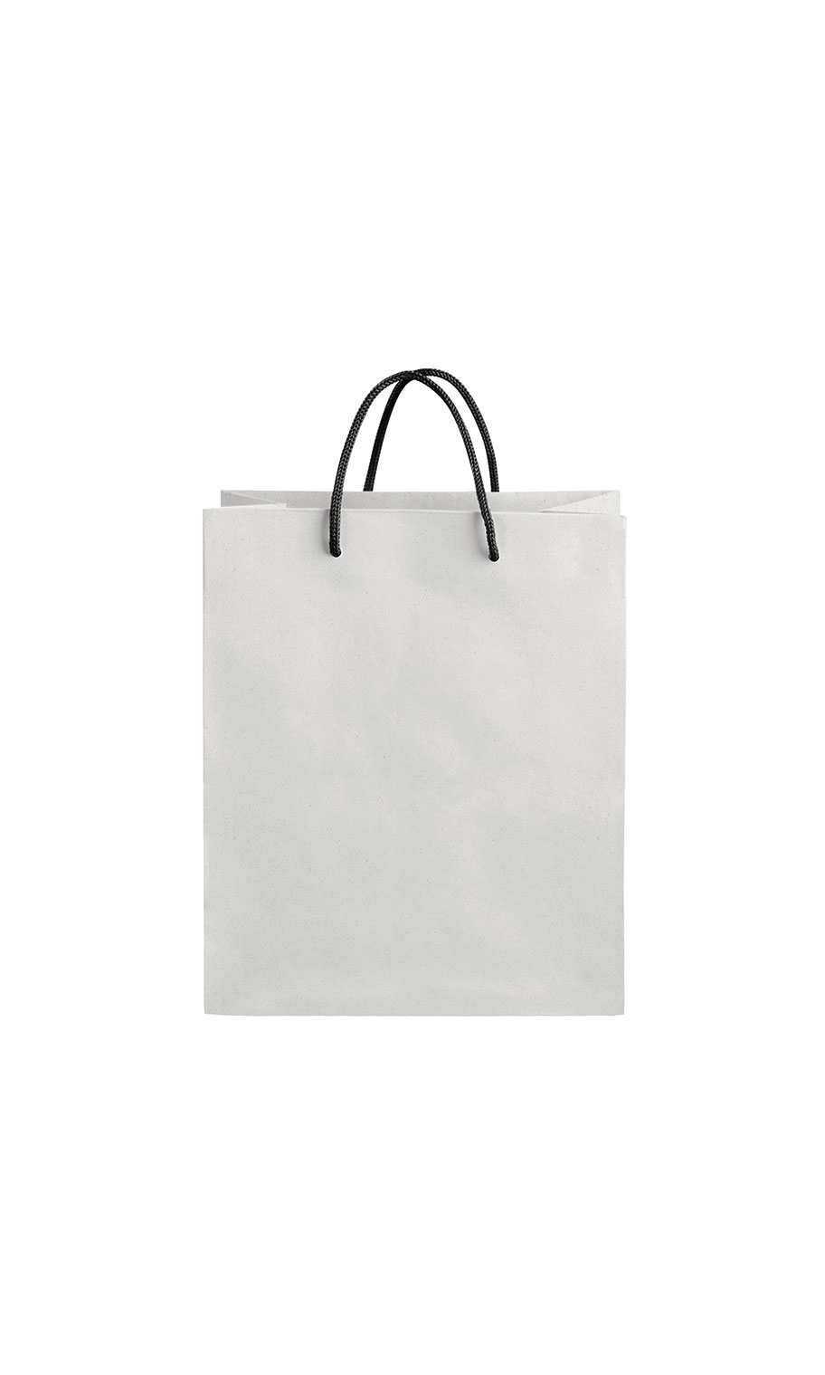 Kraft Premium Folded Top Paper Bags Black Rope Handles SSW