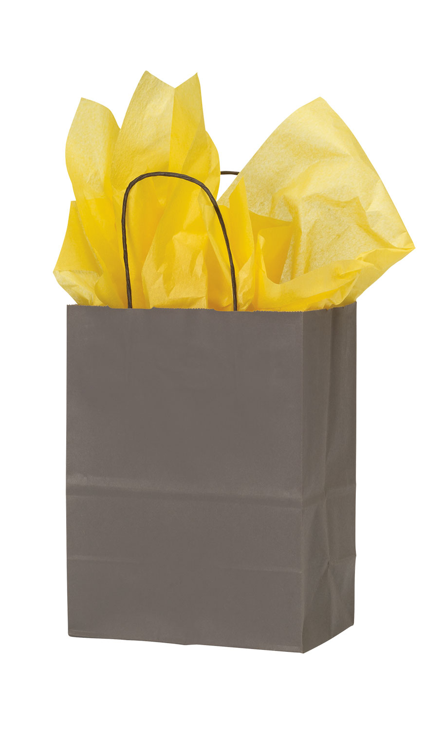 Medium Storm Gray Paper Shopping Bags Case of 100 Store Supply