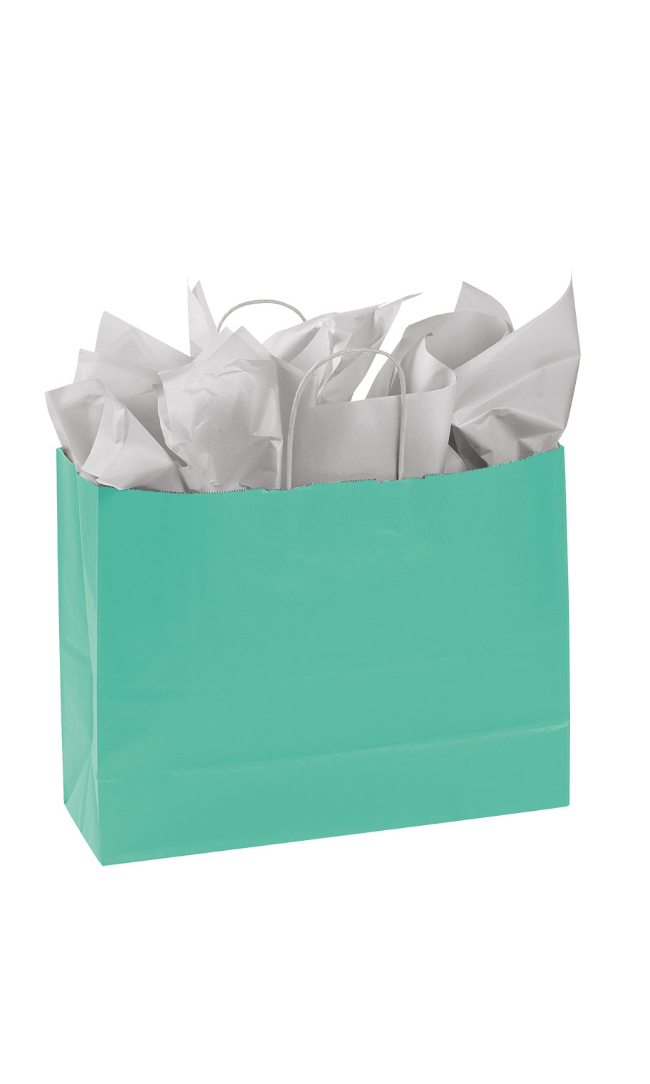 Large Turquoise Paper Shopping Bags - Case of 100 | SSW