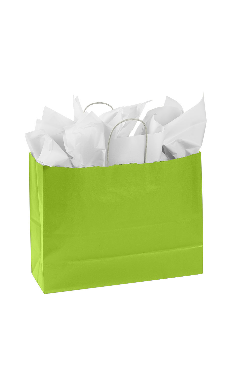 Large Lime Green Paper Shopping Bag Store Supply Warehouse