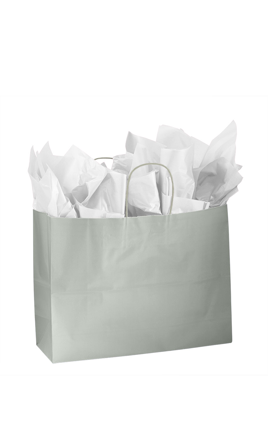 Download Large Glossy Silver Paper Shopping Bag - Case of 100 | SSW