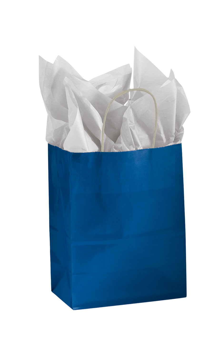 Medium Glossy Royal Blue Paper Shopping Bags SSW