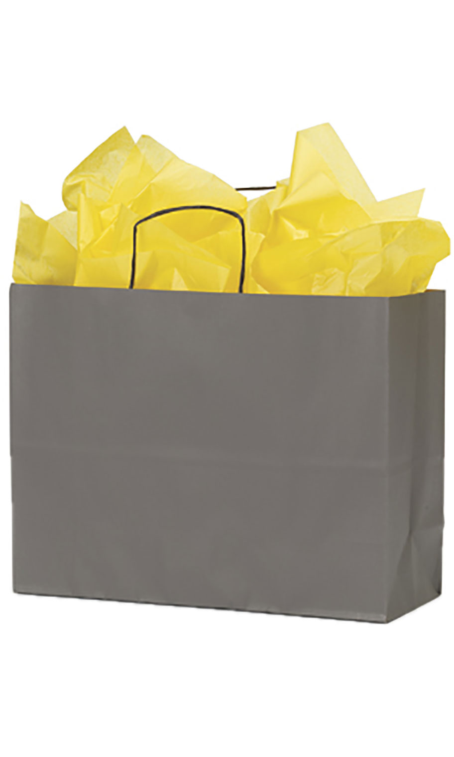 Large Storm Gray Paper Shopping Bags Case of 25 SSW