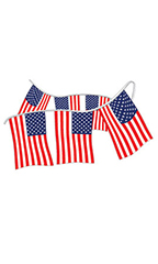 Cloth American Flag Pennant