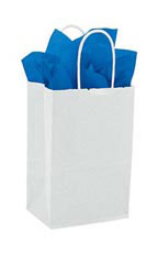 Small White Kraft Paper Shopping Bags - Case of 100
