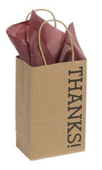 Small Kraft Thanks! Paper Shopping Bags - Case of 100