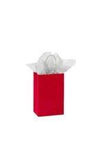 Small Glossy Red Paper Shopping Bags - Case of 25